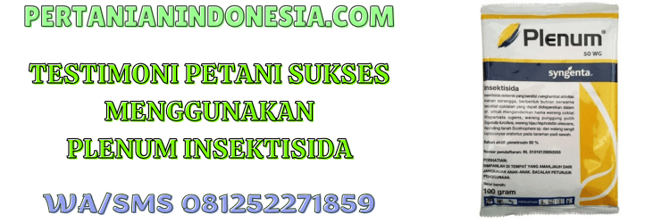 testimoni,petani,syngenta,syngenta plenum,plenum syngenta,pertanian indonesia